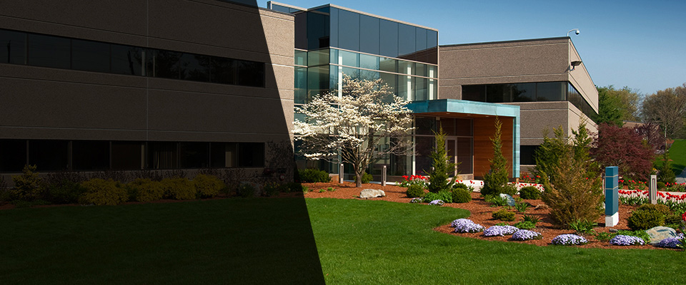 Willow Spring Landscapers