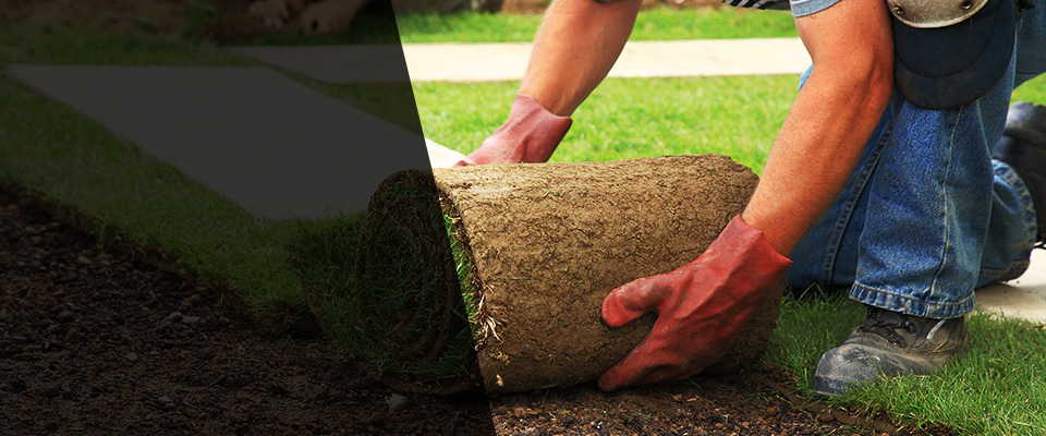 Willow Spring Landscapers